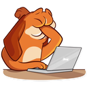 Sticker