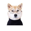 Sticker tagged doge, cute, dog, doggo, funny