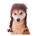 Sticker tagged doge, cute, dog, doggo, funny