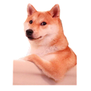 Sticker tagged doge, cute, dog, doggo, funny