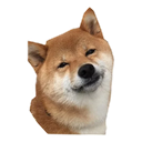 Sticker tagged doge, cute, dog, doggo, funny