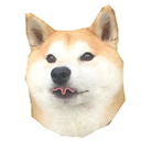 Sticker tagged doge, cute, dog, doggo, funny