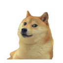 Sticker tagged doge, cute, dog, doggo, funny