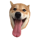 Sticker tagged doge, cute, dog, doggo, funny