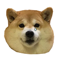 Sticker tagged doge, cute, dog, doggo, funny