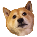 Sticker tagged doge, cute, dog, doggo, funny