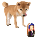 Sticker tagged doge, cute, dog, doggo, funny